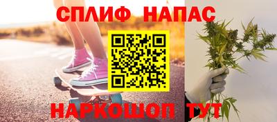бошки Можга