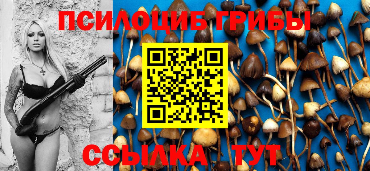 Галлюциногенные грибы Magic Shrooms Чусовой