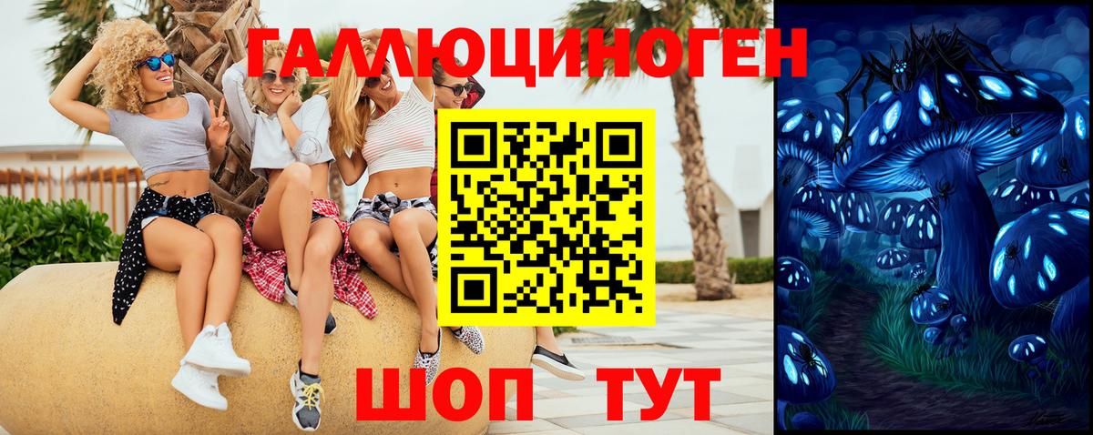 Галлюциногенные грибы прущие грибы  Вход с VPN  Чусовой 